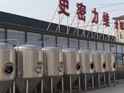 集安精酿啤酒设备厂—市场规模与跨界新需求